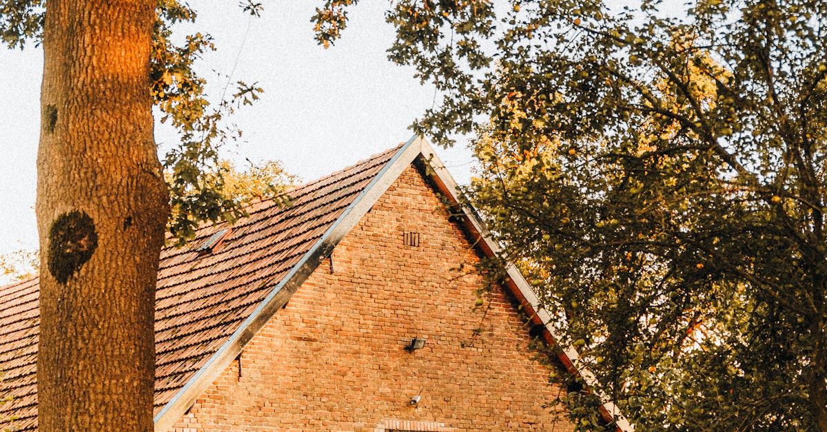 What are the setbacks requirements for the city of Encinitas?